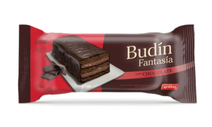BUDIN FANTASIA NEVARES CHOCOLATE BANDEJA X10X160
