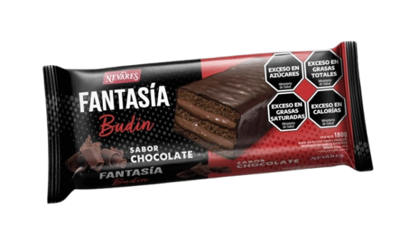 BUDIN FANTASIA NEVARES CHOCOLATE BANDEJA X10X180