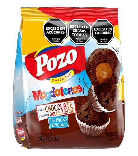 POZO MAGDALENAS RELLENAS CHOCO C/ DULCE DE LECHE 10X200 GR